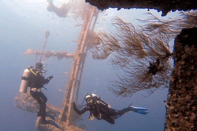 Guided Scuba Diving Adventure in Aqaba - Key Things to Know Before Booking
