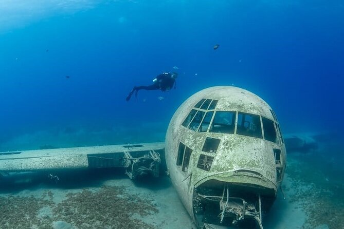 Guided Scuba Diving Adventure in Aqaba - Starting at Hammerhead Diving Center in Aqaba