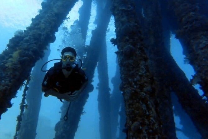Guided Scuba Diving Adventure in Aqaba - Why Certified Scuba Users May Still Enjoy It