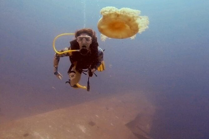 Guided Scuba Diving Adventure in Aqaba - The Shore Briefing Makes the First Session Easier
