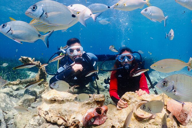 Guided Scuba Diving Experience in Kusadasi - Key points to know before booking