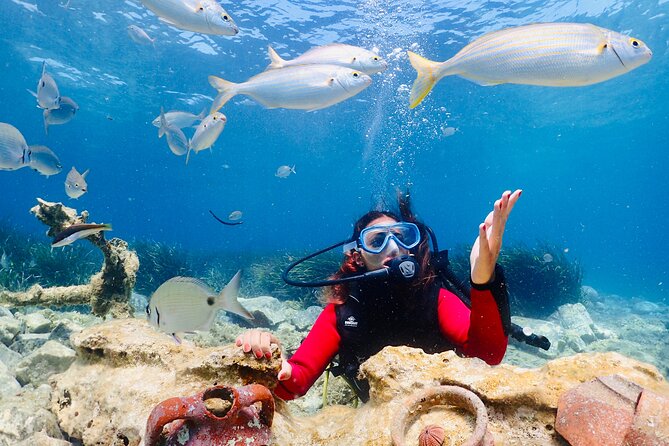 Guided Scuba Diving Experience in Kusadasi - What the Kusadasi underwater session is really like