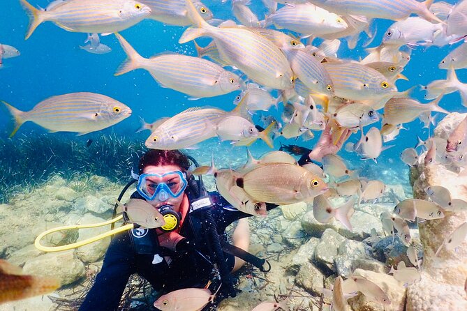 Guided Scuba Diving Experience in Kusadasi - Who should book this Kusadasi activity?