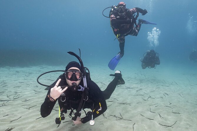 Guided SCUBA Diving for Certified Divers in Athens - Meeting Vasilis or Dimitris at Nautilus Dive Center