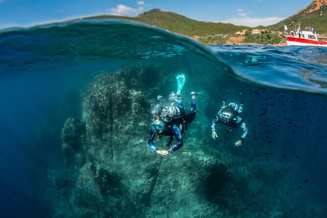 guided Scuba Diving on Tenerife (for certified divers) - A small group with room for personal instruction