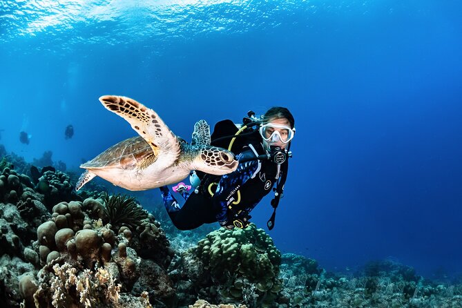 guided Scuba Diving on Tenerife (for certified divers) - Radazul’s volcanic coast and steadier conditions