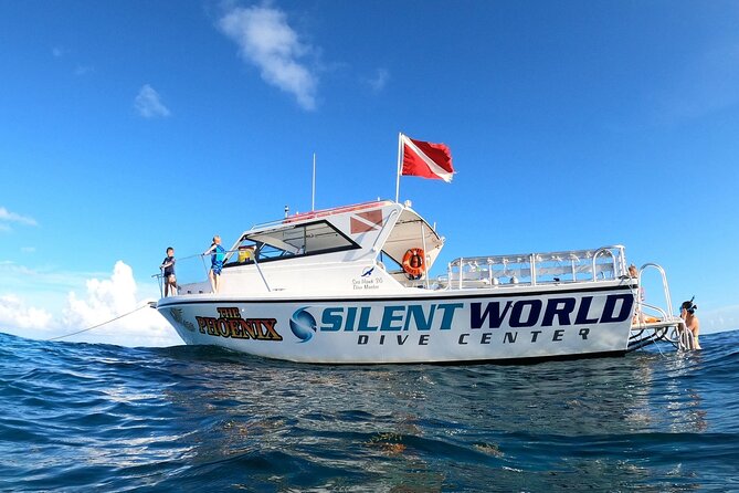 Guided Shallow 2 Tank Dive Trip for CERTIFIED SCUBA DIVERS ONLY! - Why this Key Largo trip works for certified divers