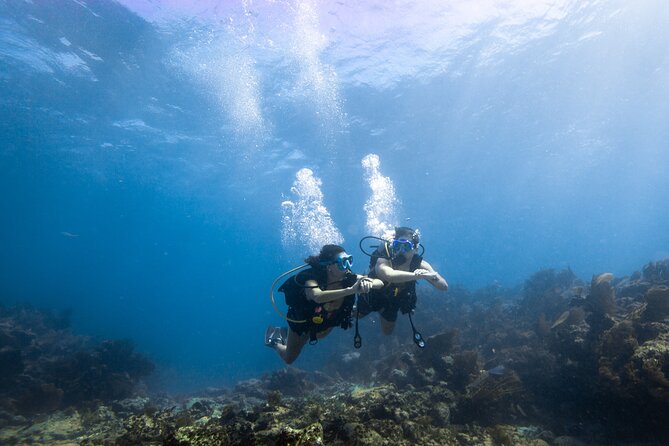 Guided Shallow 2 Tank Dive Trip for CERTIFIED SCUBA DIVERS ONLY! - Boat comfort and the motion sickness question