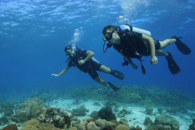 Guided Shore Dive for Certified Divers with Scubaçao (1 tank) - Key points to know before booking