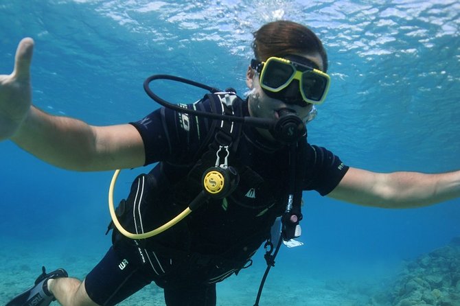 Guided Shore Dive for Certified Divers with Scubaçao (1 tank) - What the three-hour schedule really includes