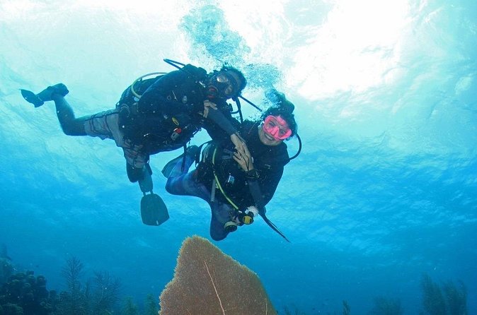 Guided Shore Dive for Certified Divers with Scubaçao (1 tank) - Equipment, cameras, cookies, and water