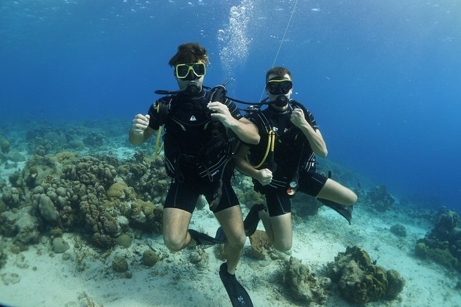 Guided Shore Dive for Certified Divers with Scubaçao (2 tank) - Underwater photographs can be a welcome extra
