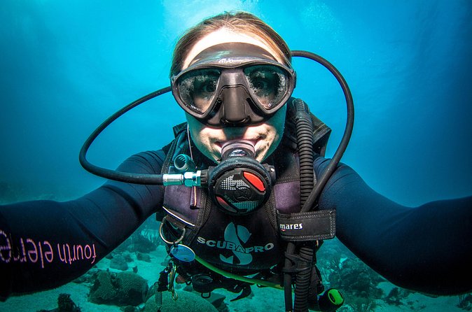 Guided Shore Dive for Certified Divers with Scubaçao (2 tank) - Is $155 a fair price?
