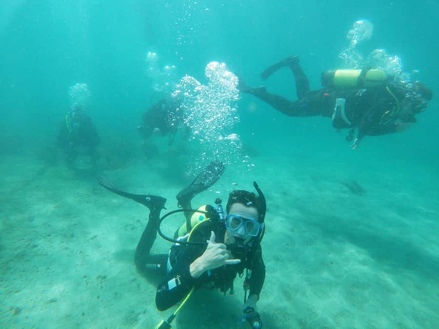 Guided Shore Dive Tour for Certified Divers - Practical points that can shape your day