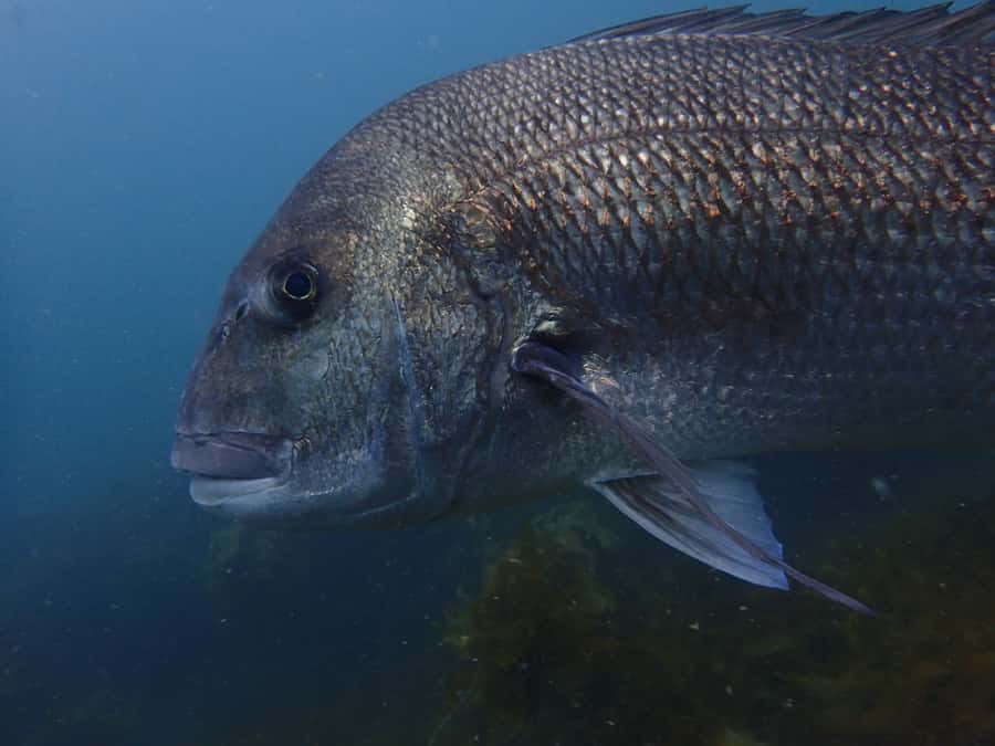 Guided Shore Dive Tour for Certified Divers - What happens before you enter the water