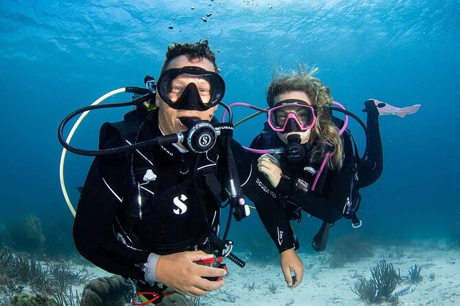 guided Shore Diving in Bonaire Marine Park with 2 Dives - Key things to know before booking