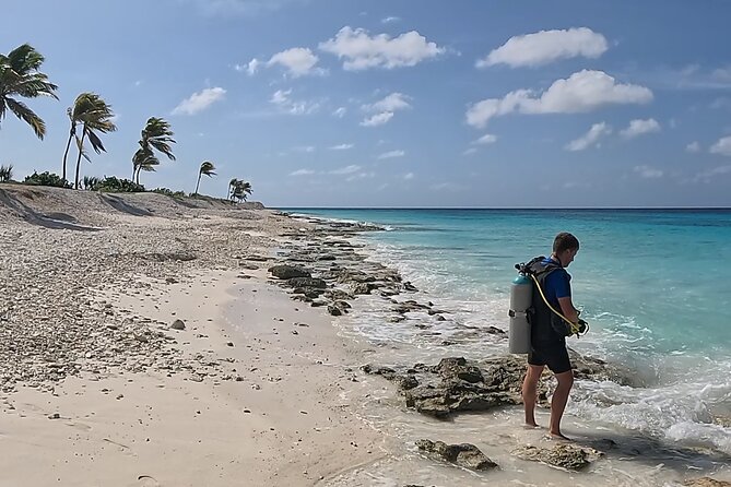 guided Shore Diving in Bonaire Marine Park with 2 Dives - What you may see below the surface