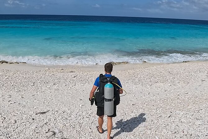 guided Shore Diving in Bonaire Marine Park with 2 Dives - Choosing the first shore site