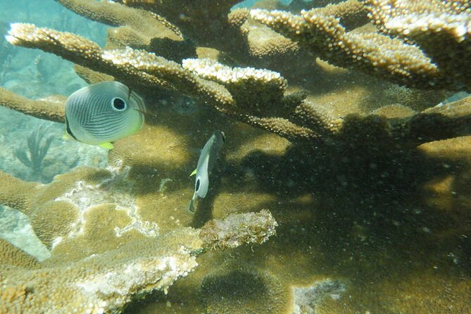 Guided Shore Diving Tour - The shore entry changes the experience