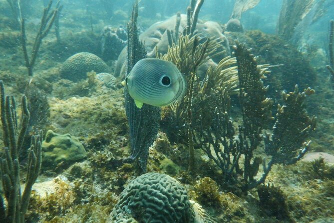 Guided Shore Diving Tour - How the guides shape the morning