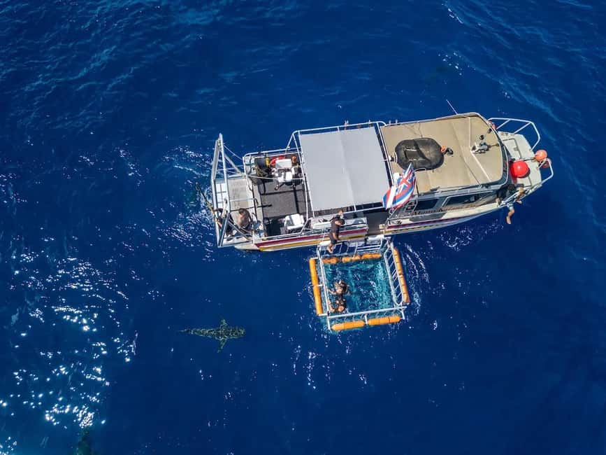 Haleiwa: North Shore Shark Cage Diving Experience - Meeting mano at the cage site