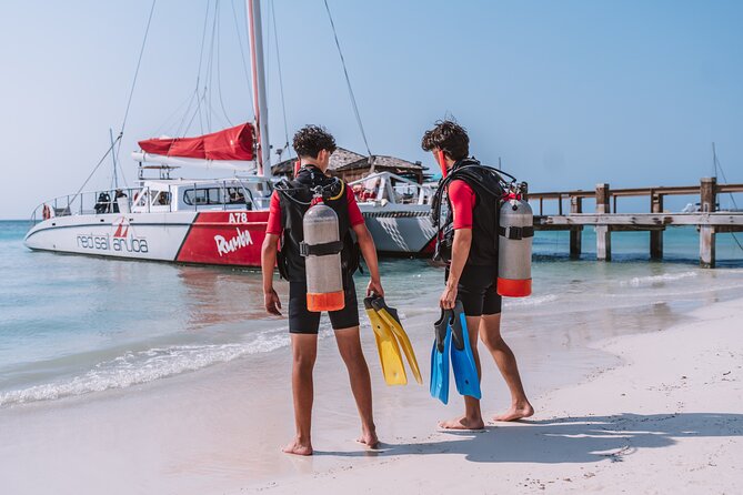 Half-Day Aruba Intro Diving Course for Beginners - Is $104 a fair price?