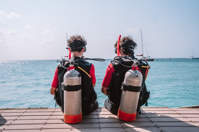 Half-Day Aruba Intro Diving Course for Beginners - Who should book this Aruba scuba course?