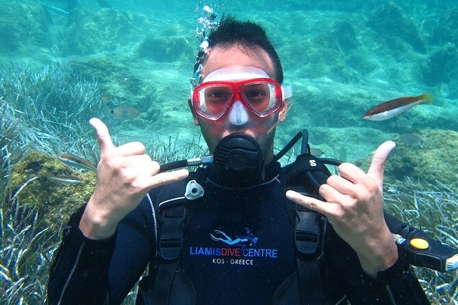 Half day boat diving experience for beginners in Kos Greece - From Kos Port to a calm bay near Pserimos