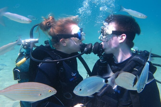 Half day boat diving experience for beginners in Kos Greece - Your break and the optional second session