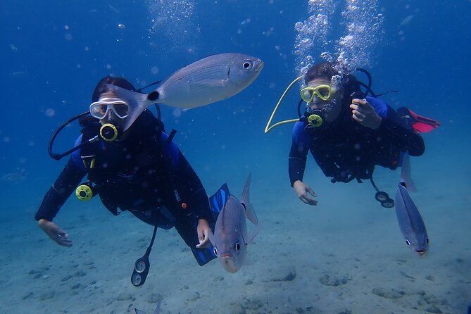 Half day boat diving experience for beginners in Kos Greece - Snorkeling, swimming, and time on the sundeck