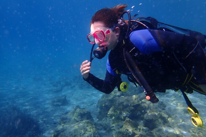 Half day boat diving experience for beginners in Kos Greece - Is the $126.15 price good value?