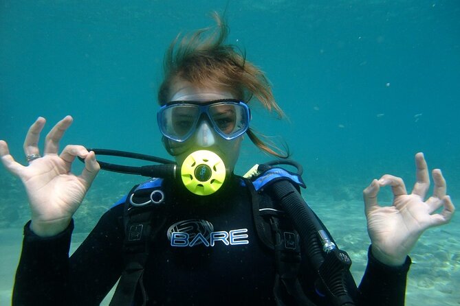 Half day boat diving experience for beginners in Kos Greece - Who should book this Kos scuba experience?