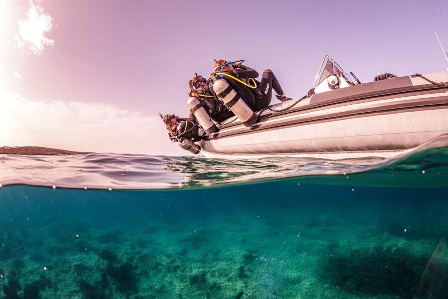 Half Day Dive Trip for Certified Divers - Key points at a glance