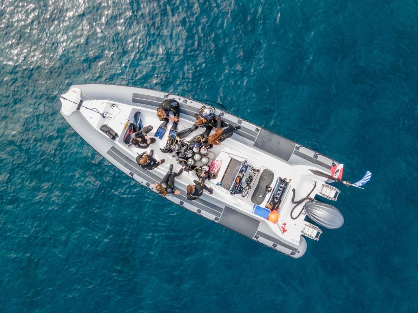 Half Day Dive Trip for Certified Divers - Two underwater sessions, with a real break between them