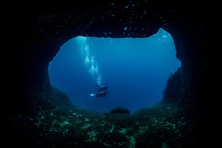 Half Day Dive Trip for Certified Divers - What the $147 price includes