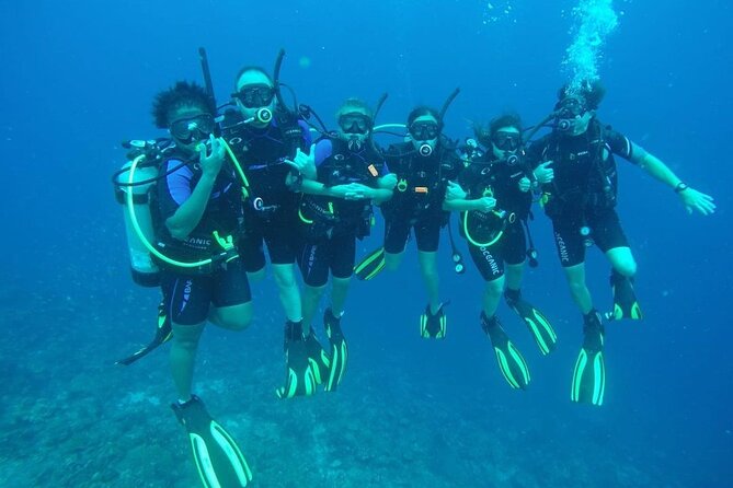 Half Day Diving adventure with Transportation Included - Two Curaçao shore sites in one half-day