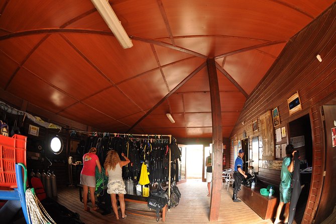 Half-Day Diving in Sal - What your morning in Santa Maria looks like