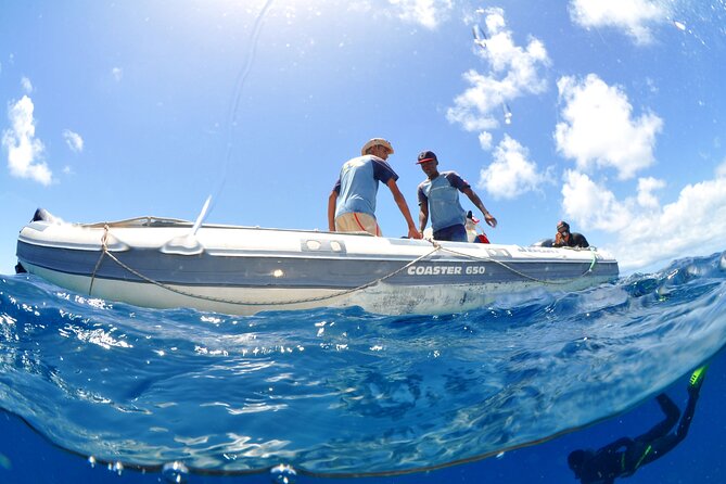 Half-Day Diving in Sal - Equipment, certification, and the extra €20