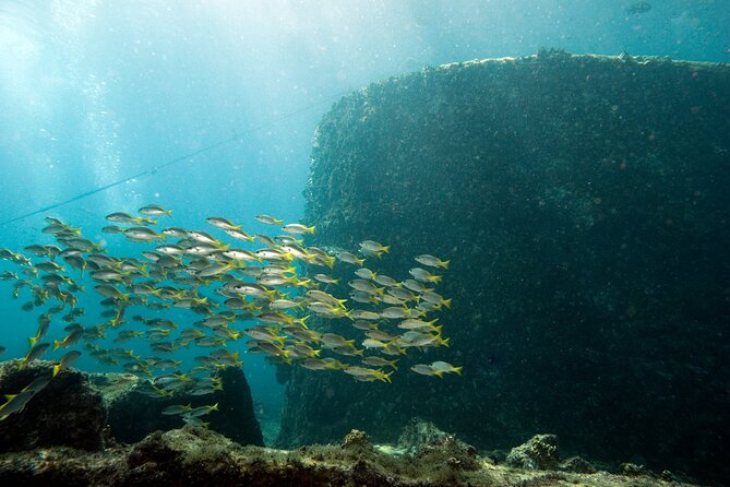 Half-Day Diving in Sal - Practical value at $109.34