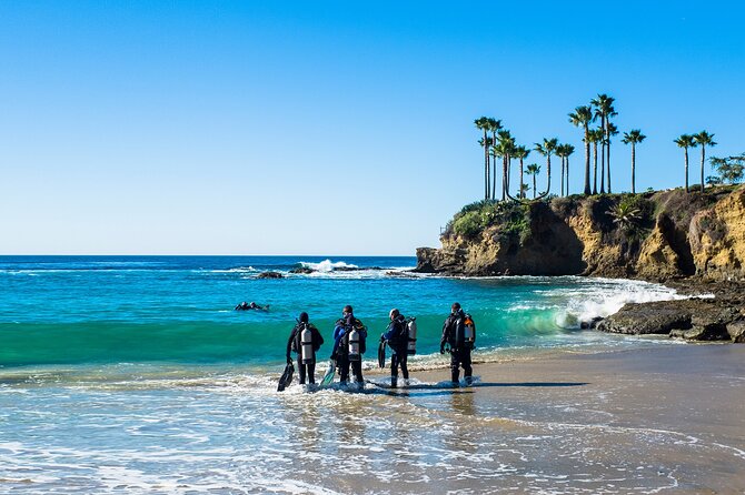 Half-Day Private Discover Dive at Australia's Iconic Beach - Is $376.55 good value for two people?