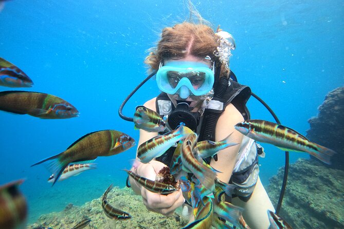 Half Day Scuba Diving @ Duden Waterfalls - Safety equipment and comfort onboard