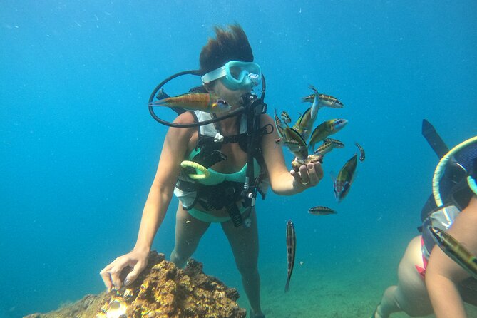 Half Day Scuba Diving @ Duden Waterfalls - The limits of the underwater scenery