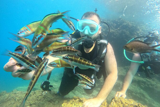 Half Day Scuba Diving @ Duden Waterfalls - Who will enjoy this Antalya boat outing?