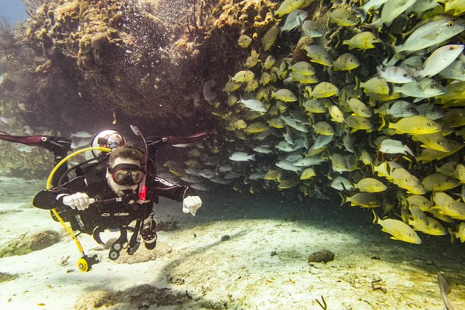 Half-Day Scuba Diving in Playa del Carmen for Small-Group - Guide support and the feeling of the trip