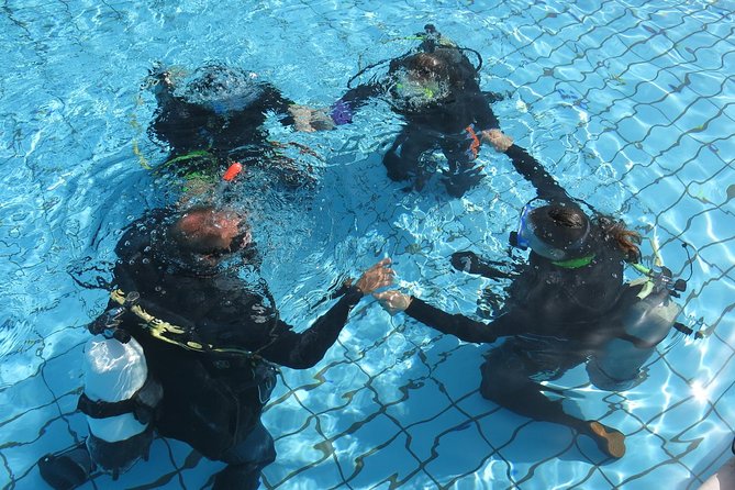 Half-Day Scuba Diving Tour - Discover Scuba Diving! - Marine life and turtle season