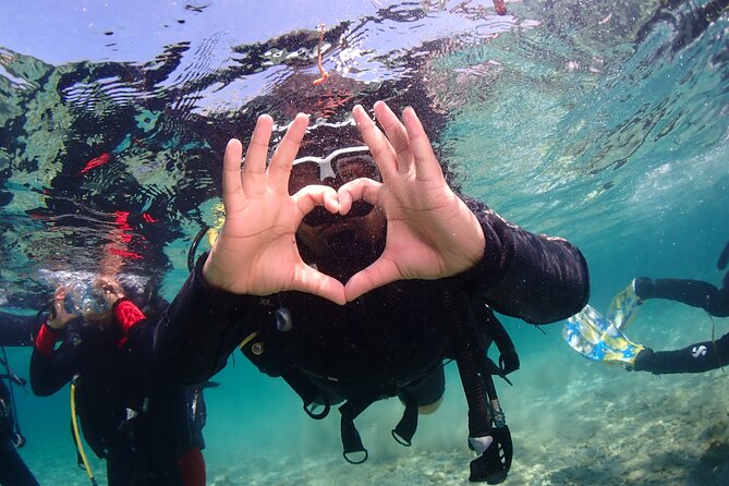 Half-Day Scuba Diving Tour - Discover Scuba Diving! - Pool practice before open water