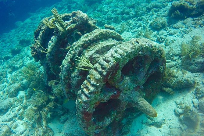 Half Day Scuba Diving Trip in the Florida Keys - The first reef stop in the National Marine Sanctuary