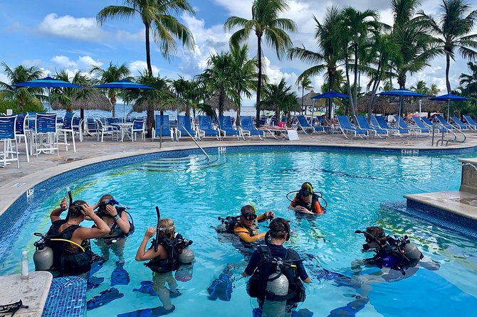 Half Day Scuba Diving Trip in the Florida Keys - Equipment, buddies, and guide costs