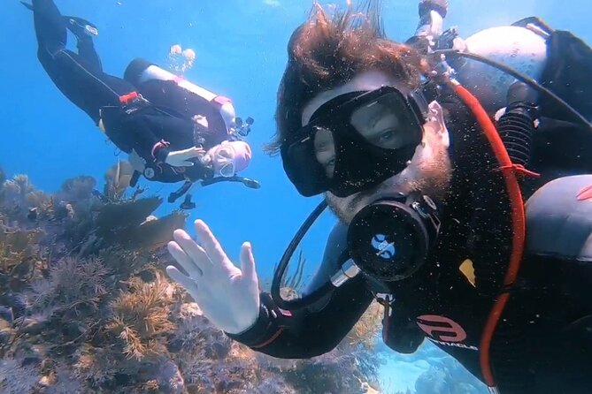 Half-Day Small-Group 2-Tank Scuba Dive in Key Largo (CERTIFIED DIVERS ONLY) - Equipment, refreshments, and the real price