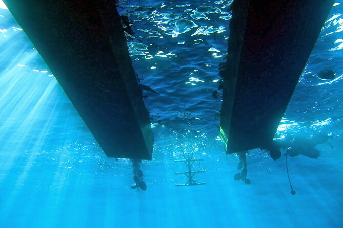 Half Day Snorkeling & Diving in Nice - Is $254.33 a fair price?